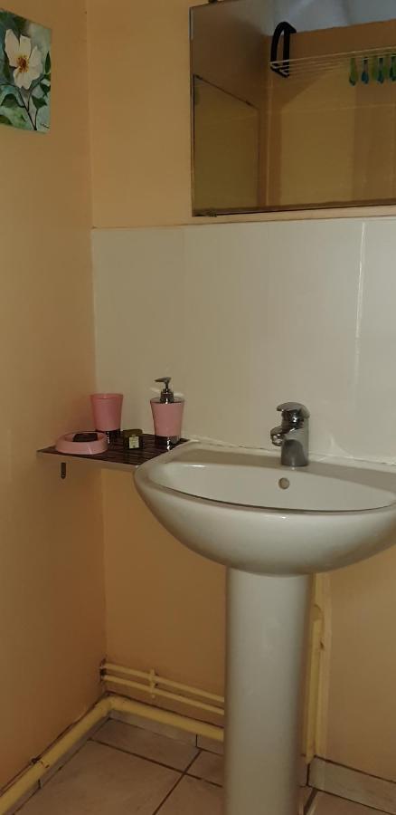 Le gîte de l'atelier Lailly-en-Val Extérieur photo